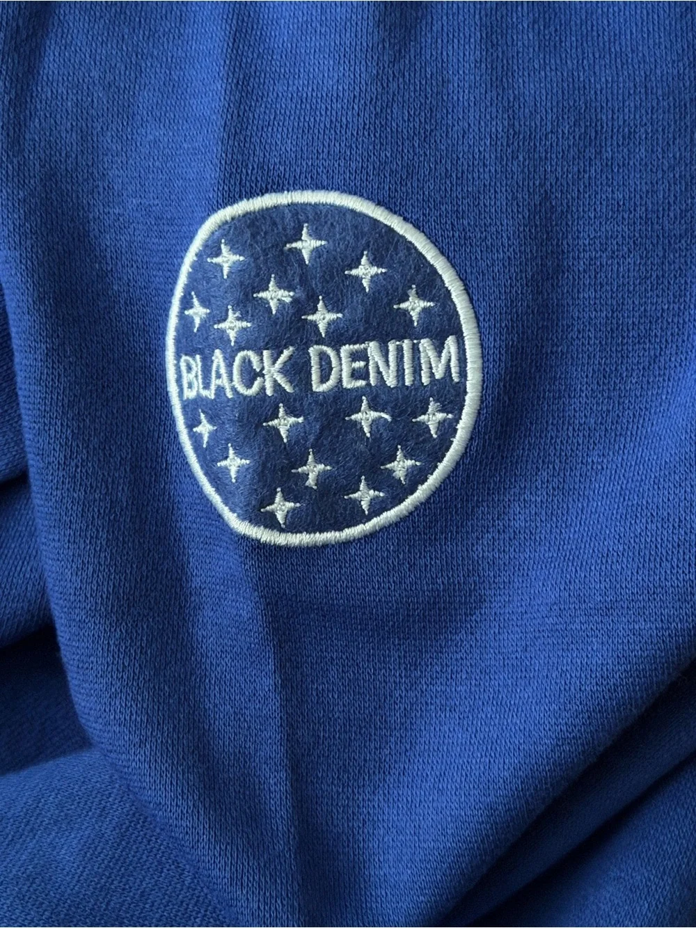Blank NYC Royal Blue Graphic Zip-Up Hoodie for Men